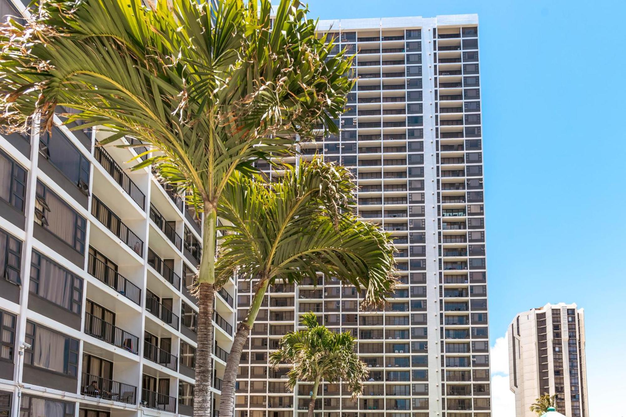 Renovated Ocean View Suite, Near Beach, Free Parking Honolulu Exterior foto